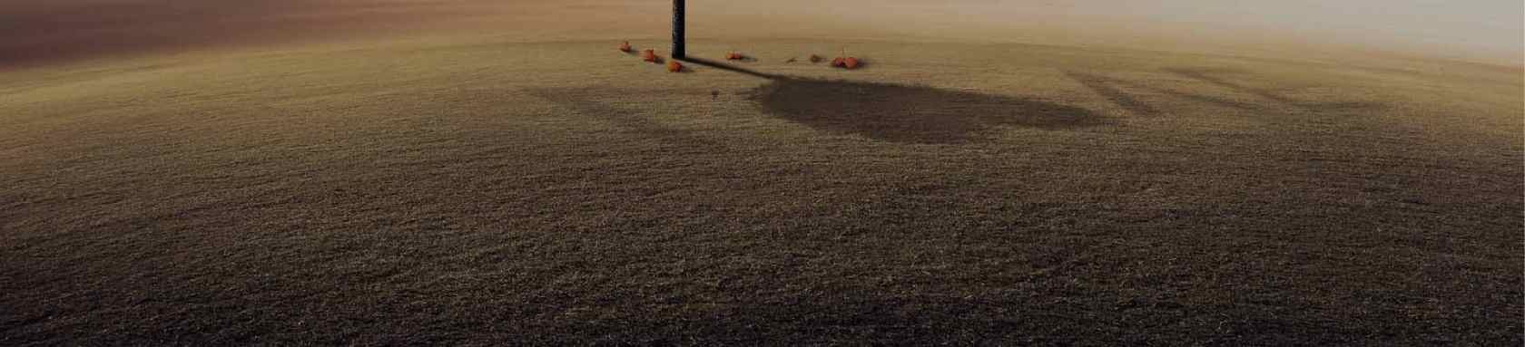 Arlington Fastener Feature Banner